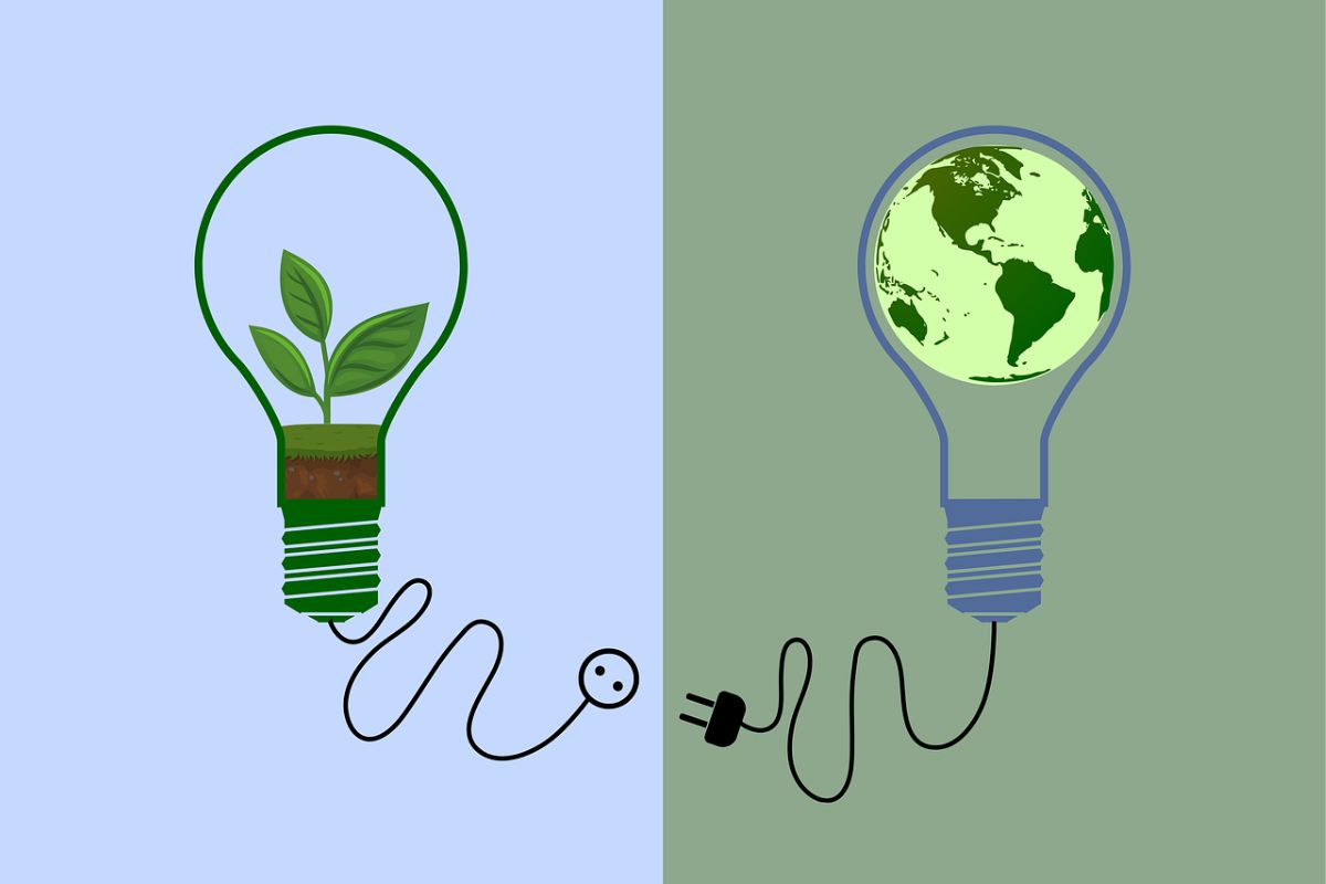 Desenho de duas lâmpadas se interligando. Em uma, há uma pequena planta. Na outra, o planeta Terra.